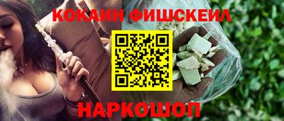 гашик Кунгур