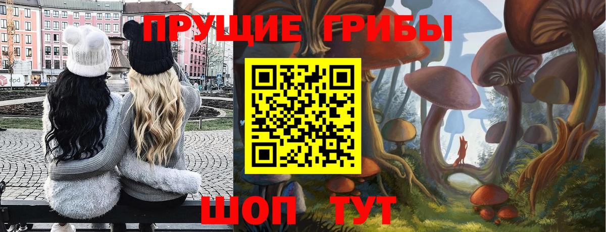 Псилоцибиновые грибы мицелий Урус-Мартан